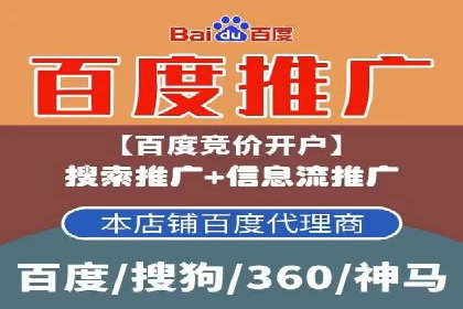 网络推广策略：竞价广告的实践案例